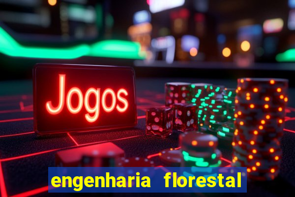 engenharia florestal ead cruzeiro do sul